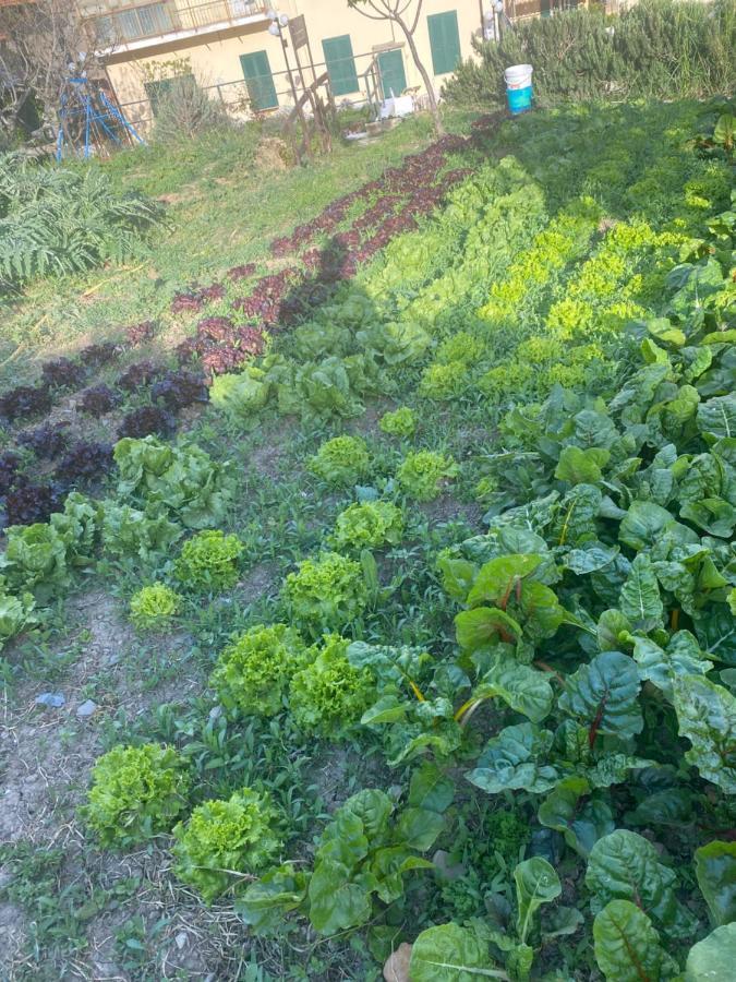Agriturismo A Ca Du Cappellan Villa Imperia Kültér fotó